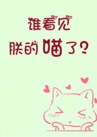 谁看见朕的喵了?