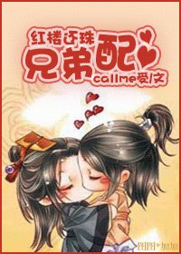红楼还珠兄弟配
