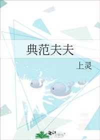 典范夫夫
